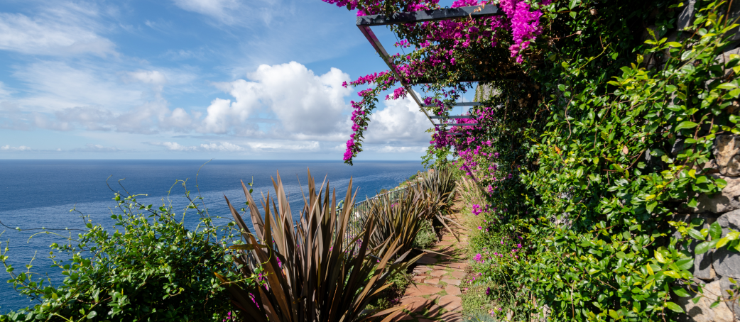 DUBEX PROPERTIES - Relax Complex